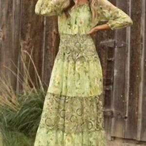 NWT Olive and Fig Boho Green paisley dress L.